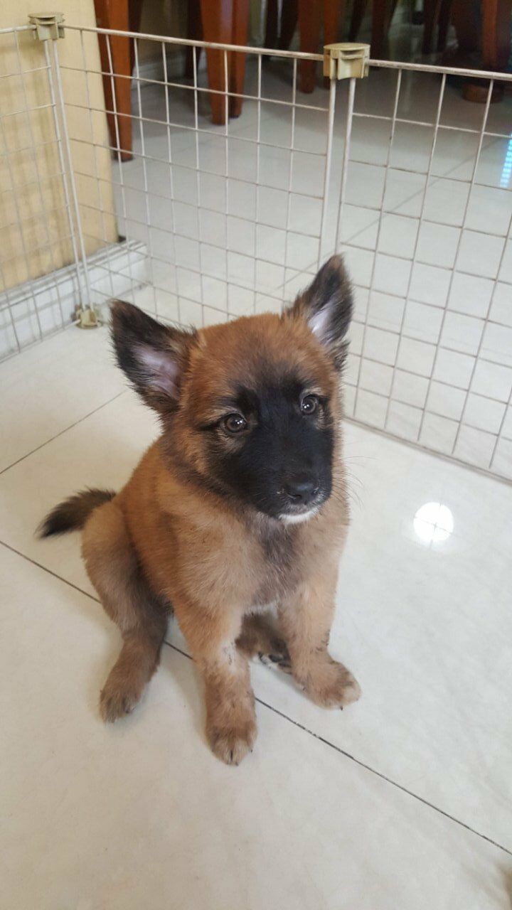 20201128_122343 (1).jpg